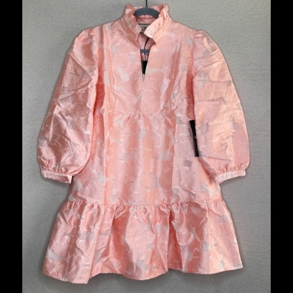 Tuckernuck Palmerston Mini Dress-Bellini Fil Coupe-Pink-Womens M & L-NEW-Wedding - Picture 4 of 15